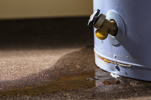 Best Water damage restoration near me  in Mount Ora, OH