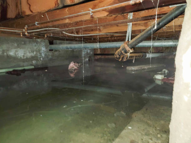 Best Ceiling water damage repair  in Mount Ora, OH