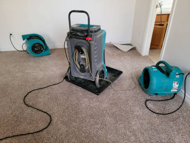 Best Flood restoration services  in Mount Ora, OH