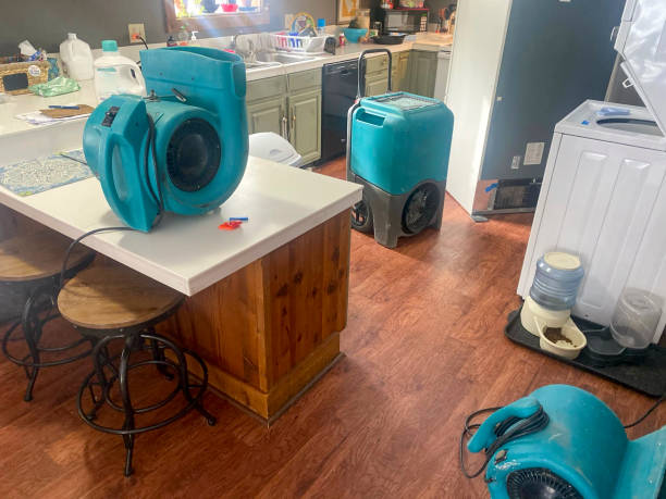 Best Flood damage cleanup  in Mount Ora, OH