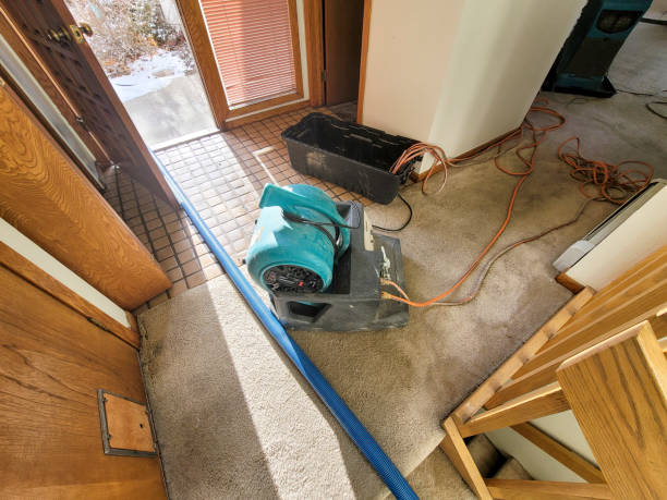 Best Water damage repair service  in Mount Ora, OH