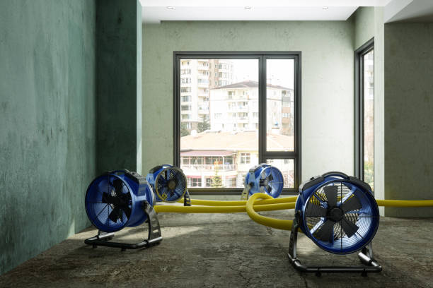 Best Carpet water damage restoration  in Mount Ora, OH